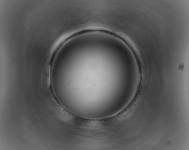X0000093141175200709261418