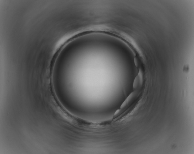 X0000093141176200709261418