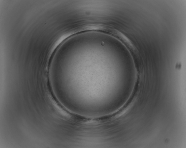 X0000093141178200709261418