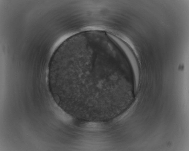 X0000093141179200709261418