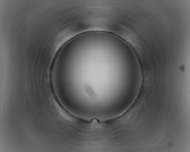 X0000093141181200709261418
