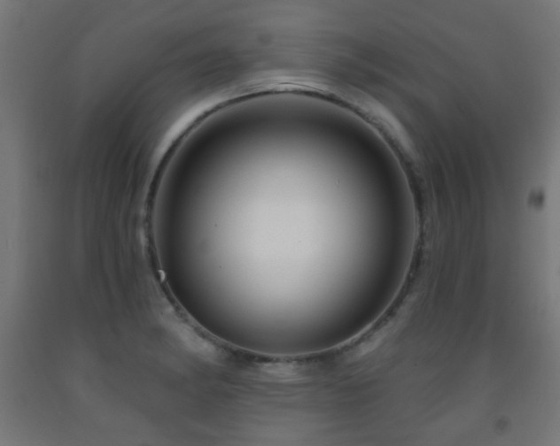 X0000093141182200709261418