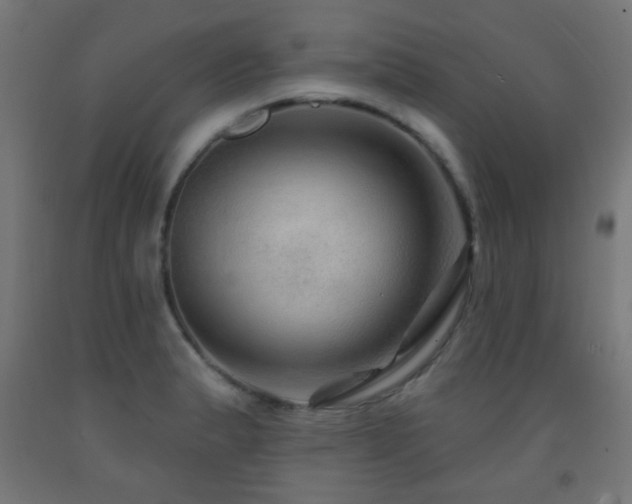 X0000093141183200709261418