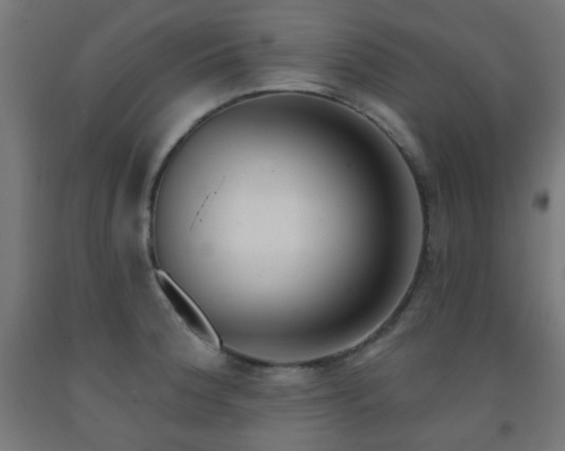 X0000093141188200709261418