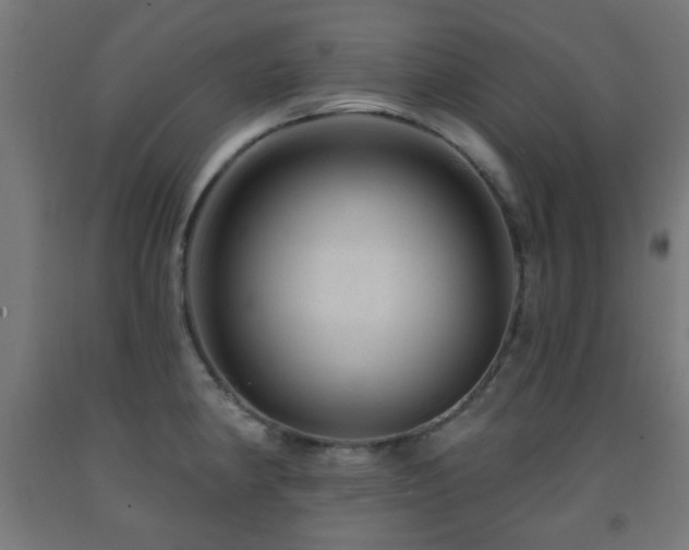 X0000093141190200709261418