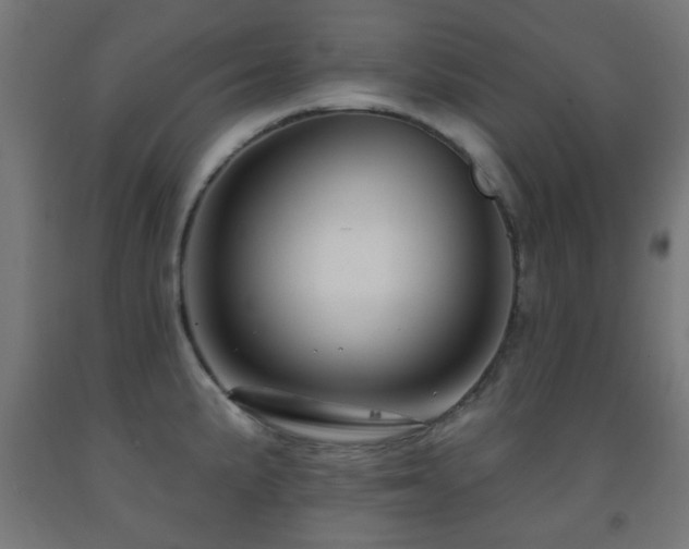 X0000093141191200709261418