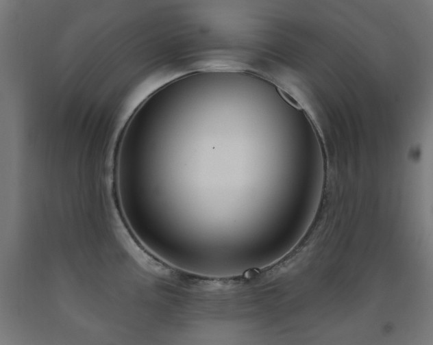 X0000093141195200709261418