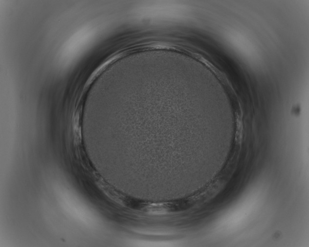 X0000093141198200709261418