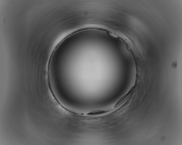 X0000093141199200709261418