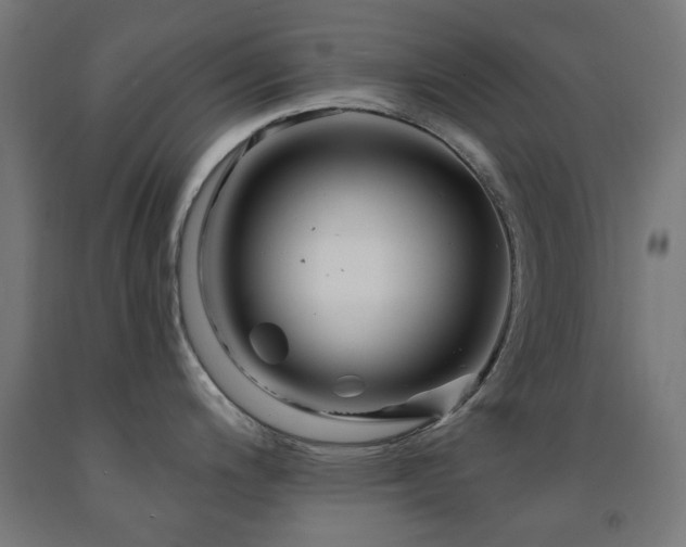 X0000093141200200709261418