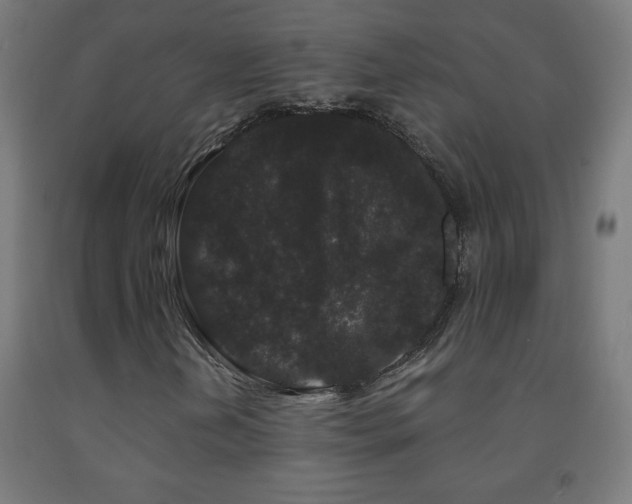 X0000093141202200709261417