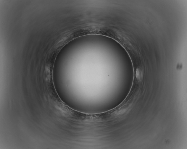 X0000093141203200709261417