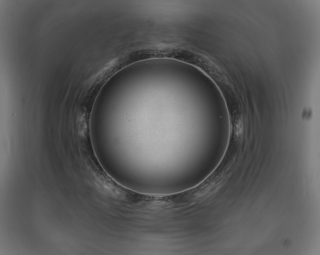X0000093141204200709261417