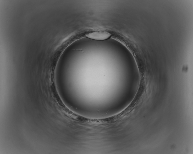 X0000093141205200709261417