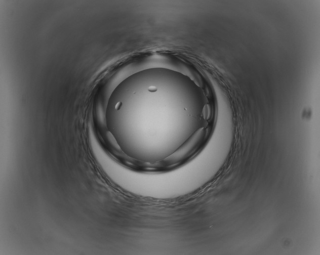 X0000093141206200709261418