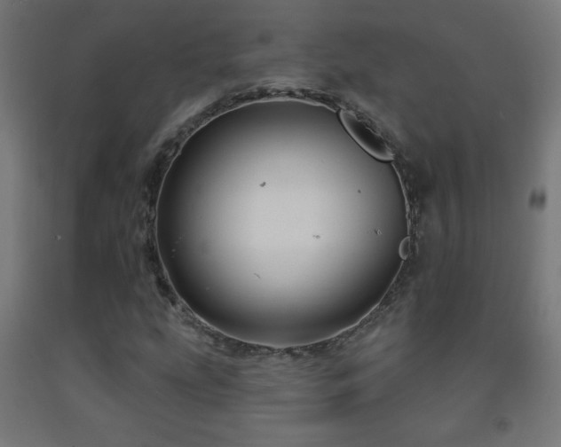 X0000093141207200709261418
