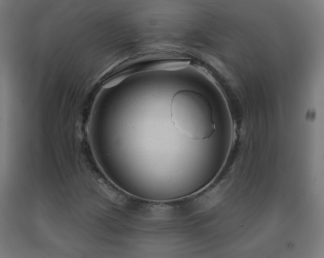 X0000093141209200709261418