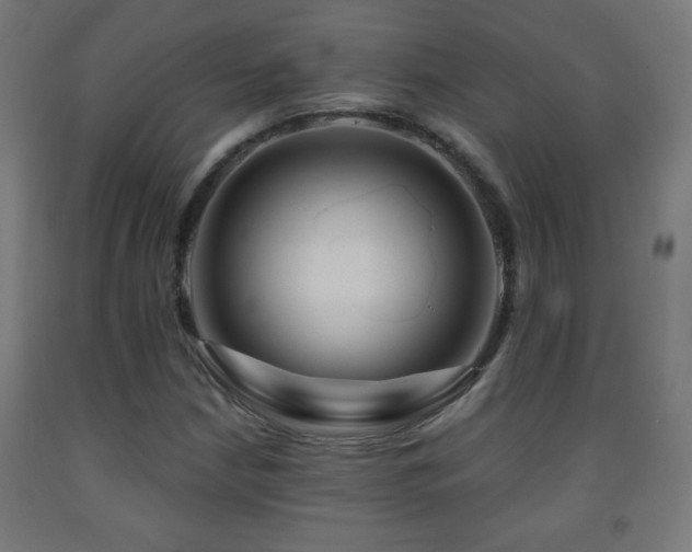 X0000093141210200709261418
