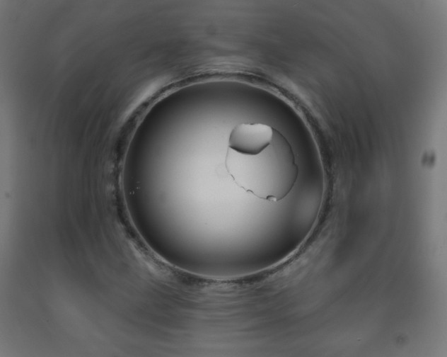 X0000093141211200709261418