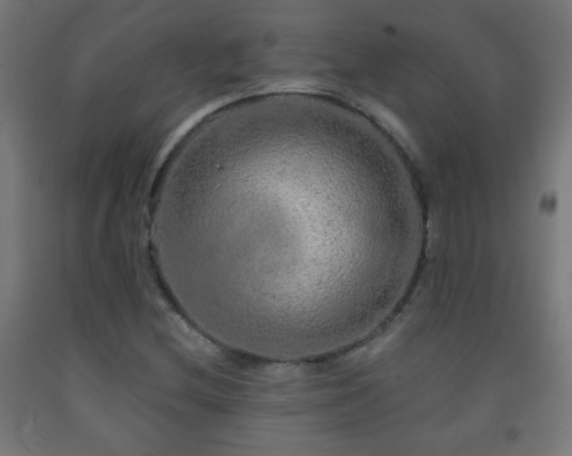 X0000093141212200709261418