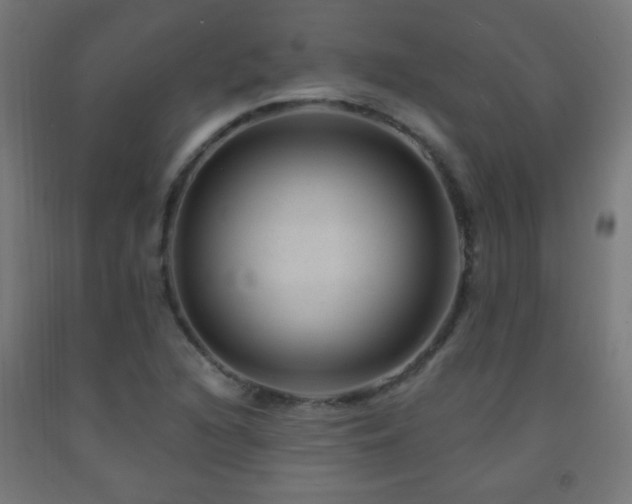 X0000093141216200709261418