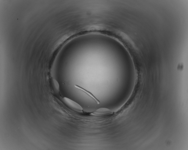 X0000093141217200709261418