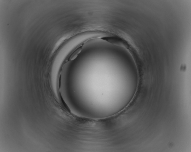 X0000093141218200709261418