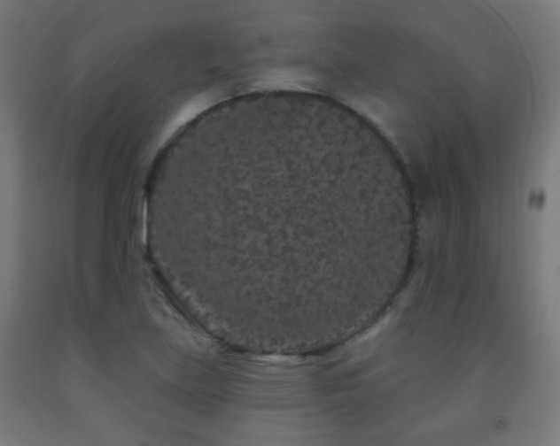 X0000093141219200709261418