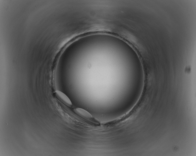 X0000093141220200709261418