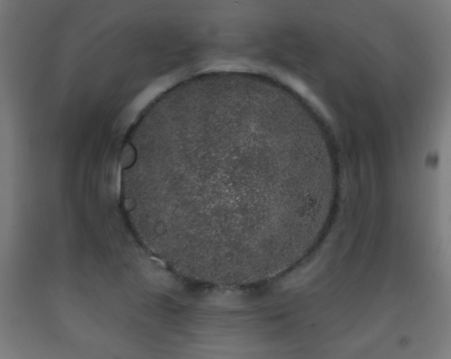 X0000093141221200709261418
