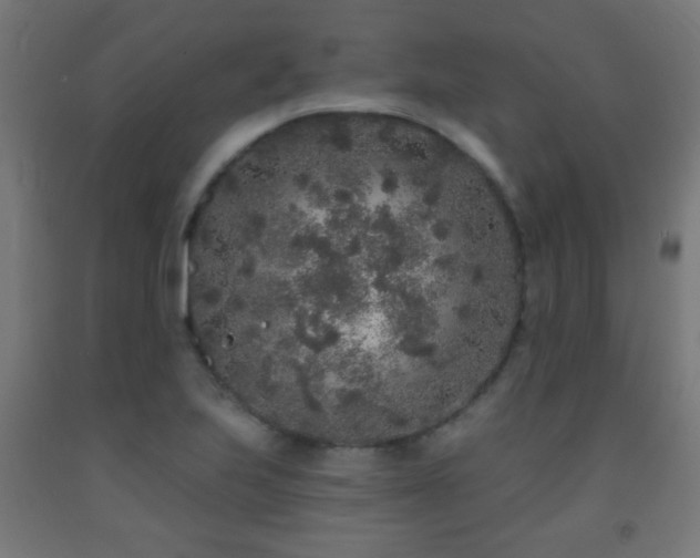 X0000093141223200709261418