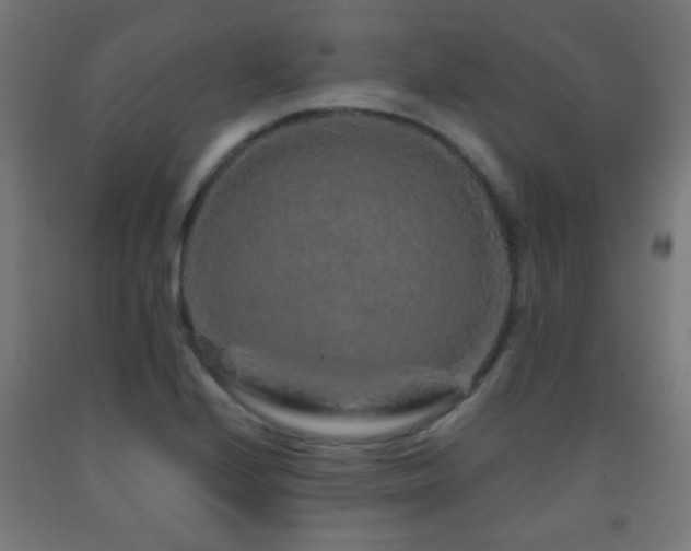X0000093141224200709261418