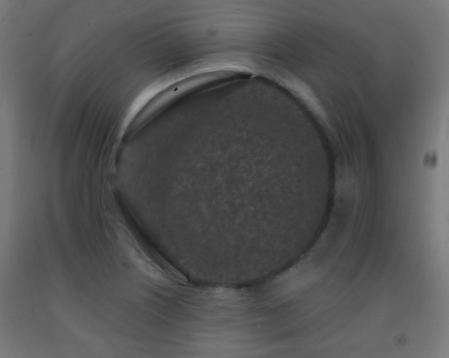 X0000093141226200709261418