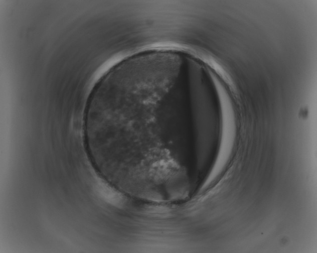 X0000093141229200709261418