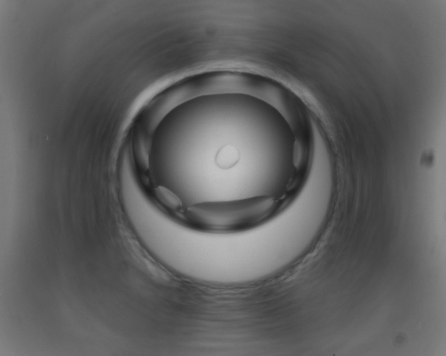 X0000093141230200709261418
