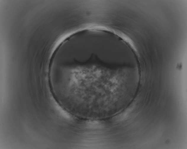 X0000093141231200709261418