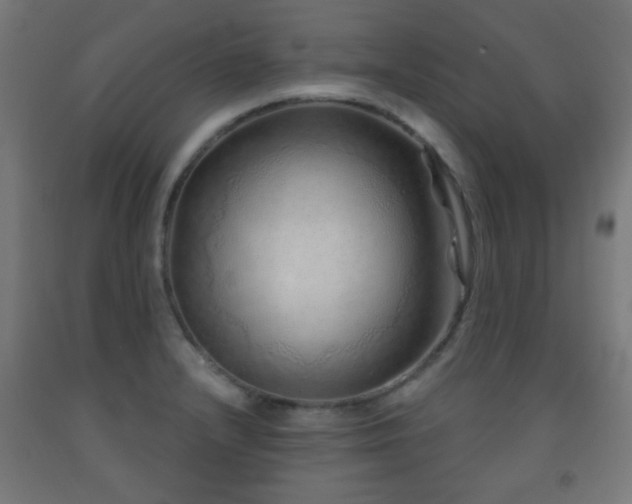 X0000093141232200709261418