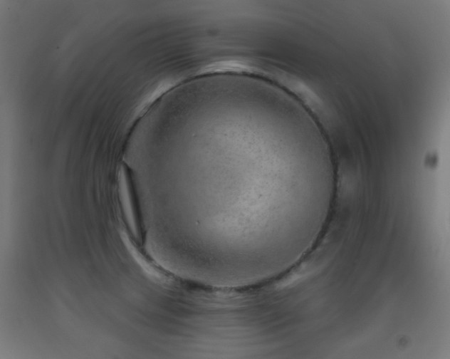 X0000093141233200709261418