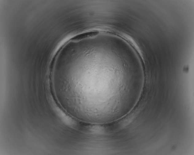 X0000093141235200709261418