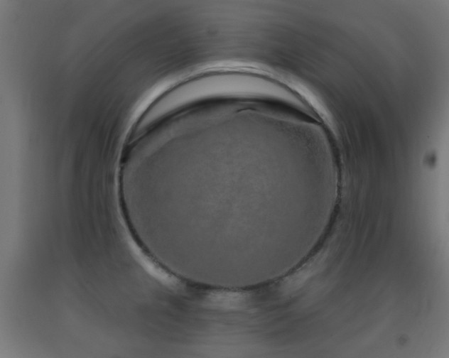 X0000093141237200709261418