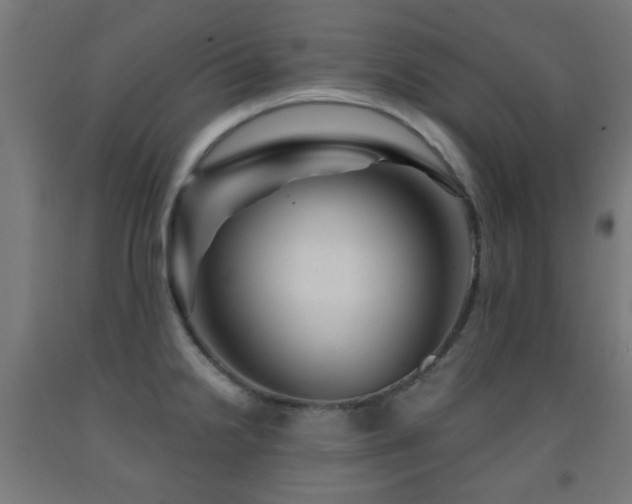 X0000093141238200709261418