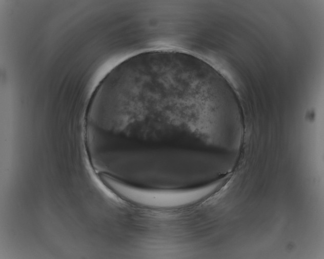 X0000093141239200709261418