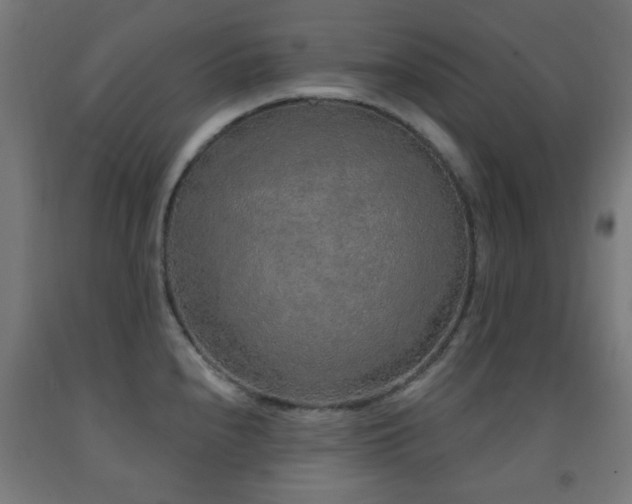 X0000093141240200709261418