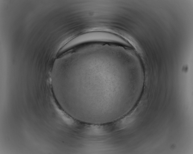 X0000093141241200709261418