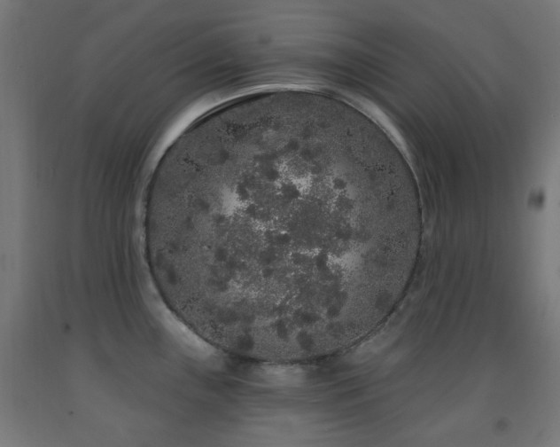 X0000093141243200709261418
