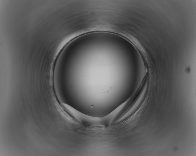 X0000093141246200709261418