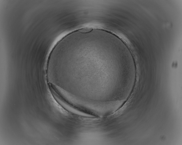 X0000093141248200709261418