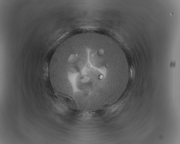 X0000093141251200709261417