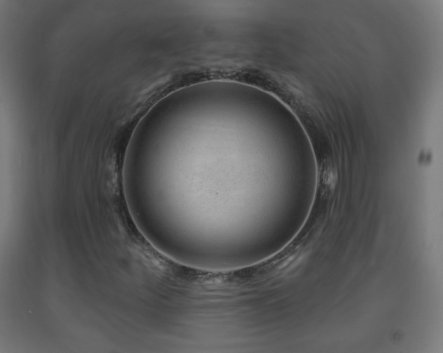 X0000093141252200709261417
