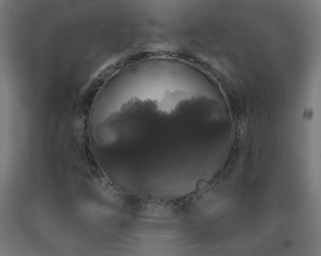 X0000093141254200709261417